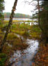 Hiking in the rain.