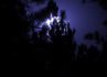 Full moon through trees