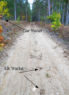 Fresh Elk tracks within sight of camp